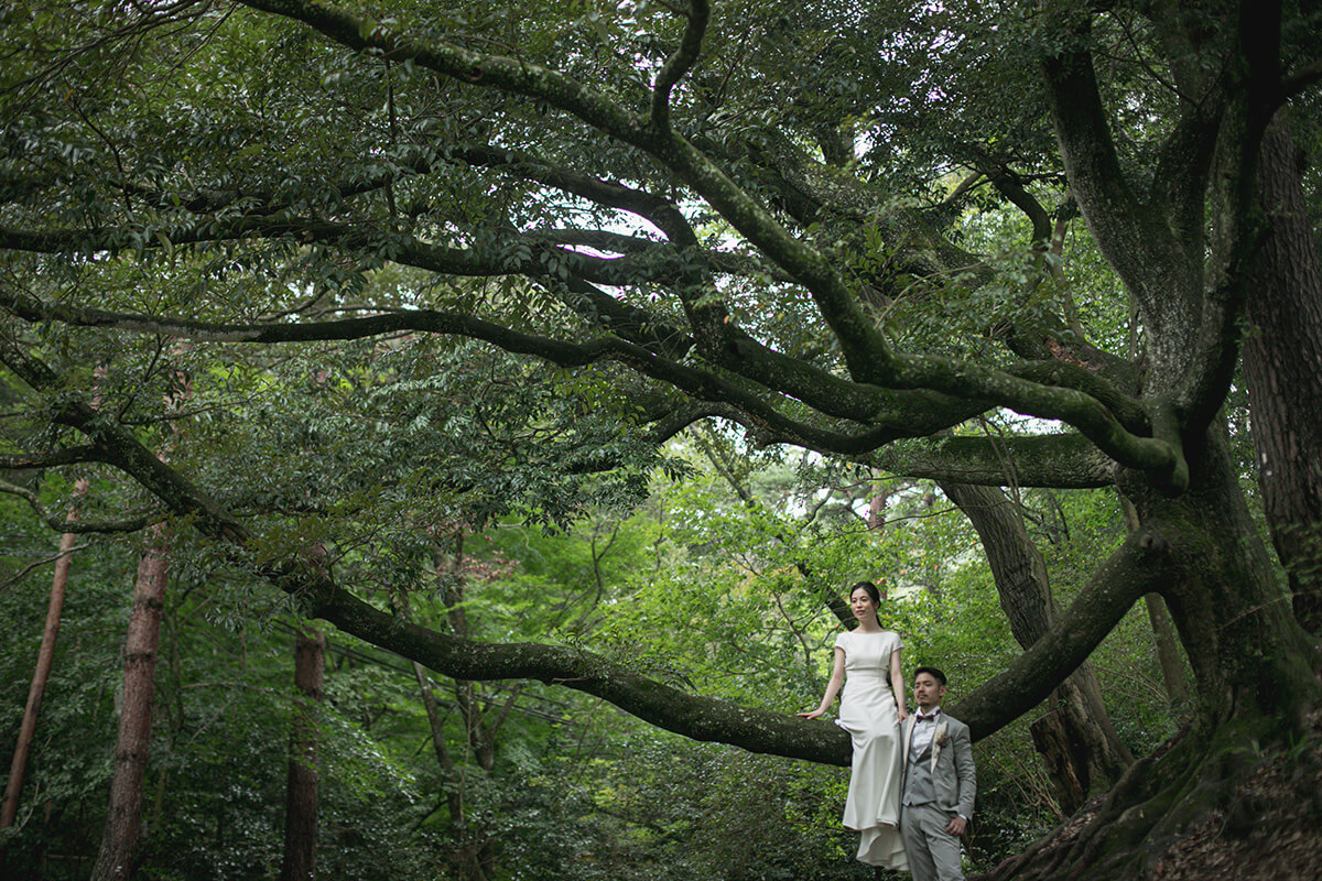 Futatabi Park/[KOBE/JAPAN]