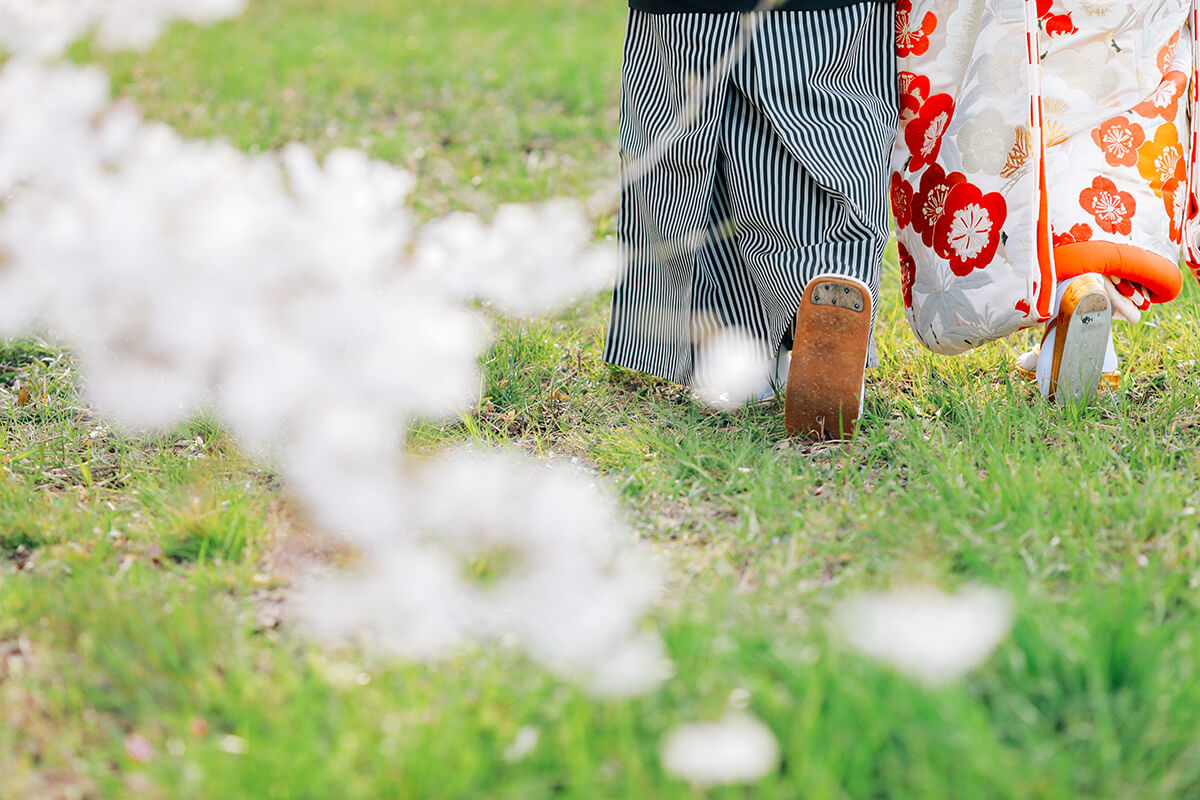 Row of Cherry Trees/[KOBE/JAPAN]