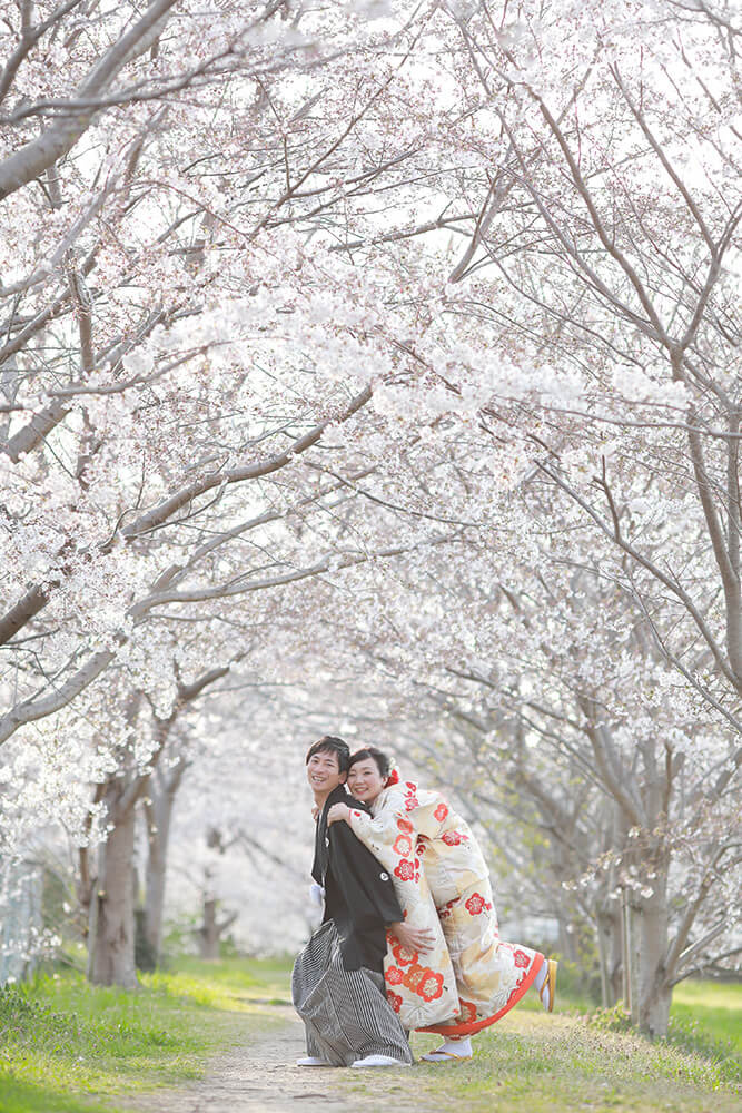 Row of Cherry Trees/[KOBE/JAPAN]