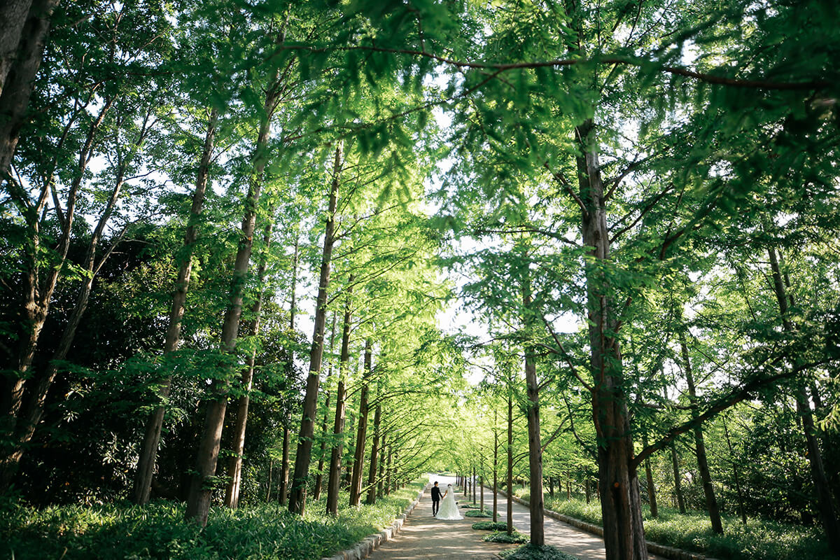 Kobe Municipal Arboretum/[KOBE/JAPAN]