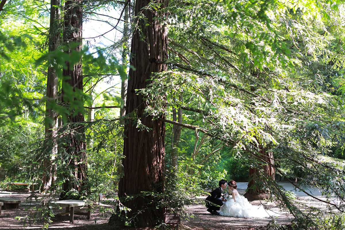 Kobe Municipal Arboretum/[KOBE/JAPAN]