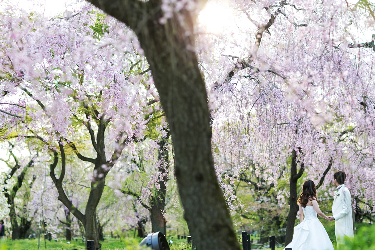 Botanical Garden Kyoto