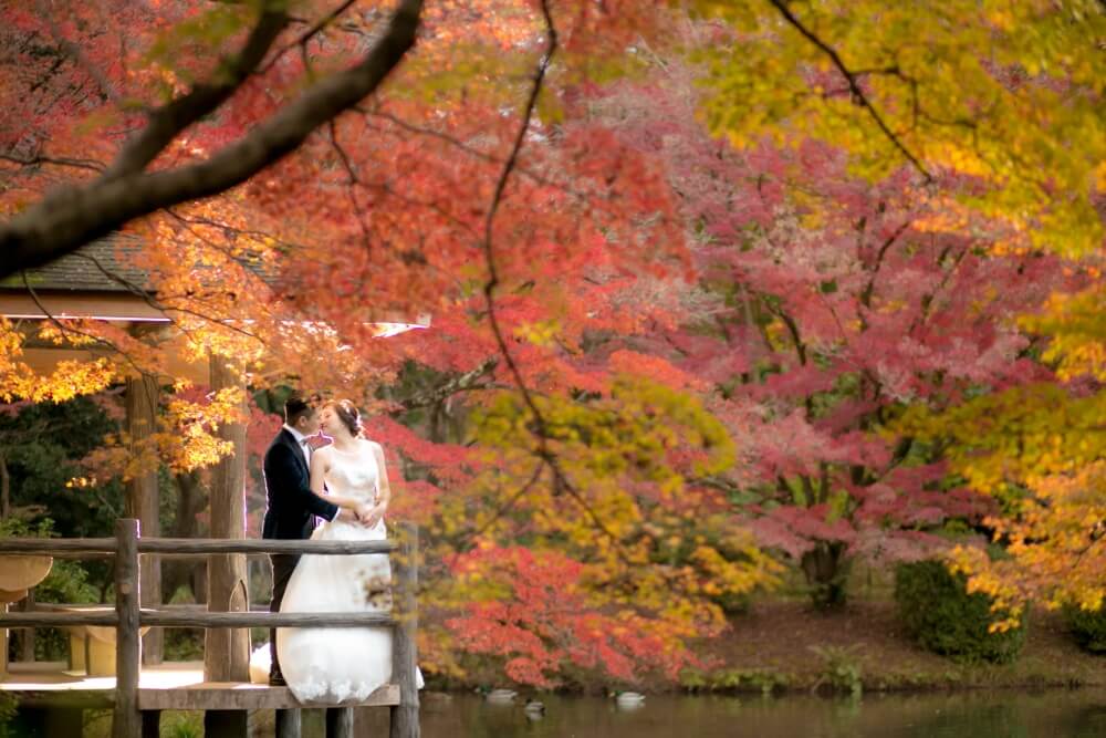 Botanical Garden Kyoto