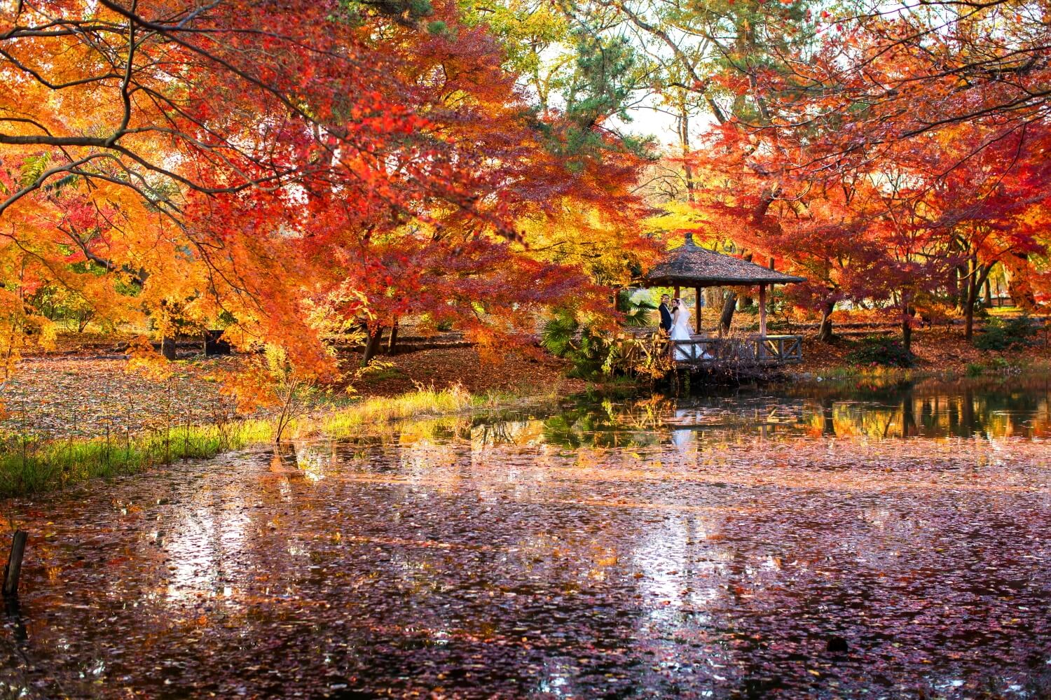 Botanical Garden Kyoto