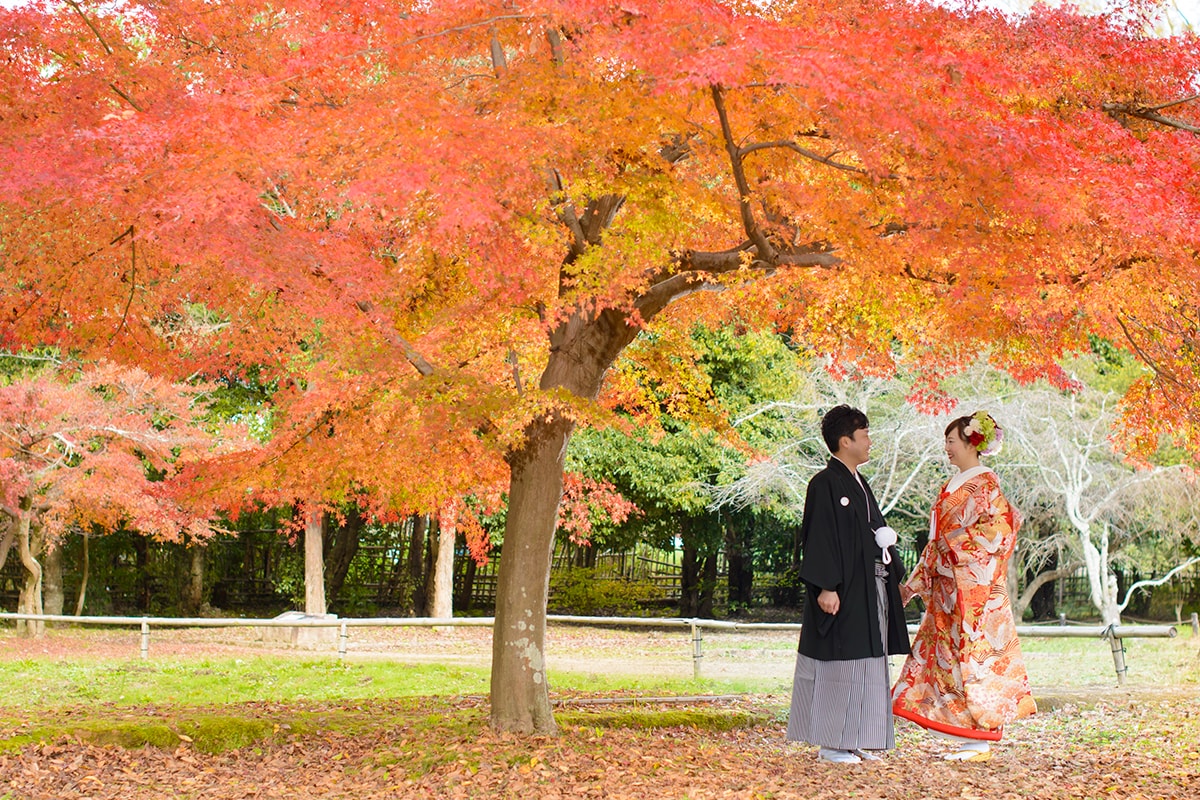 Daikaku-Ji Kyoto