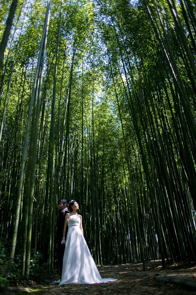 Daikaku-Ji Kyoto