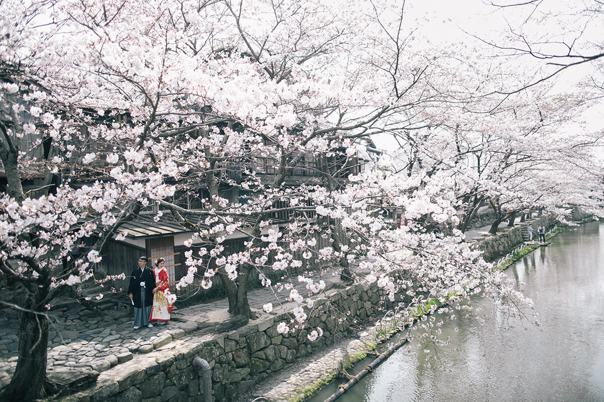 Shiga Hachiman-bori Kyoto