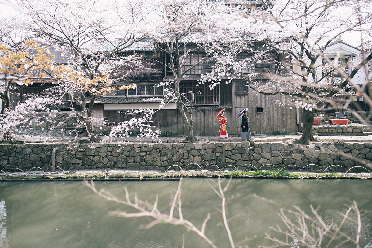 Shiga Hachiman-bori Kyoto