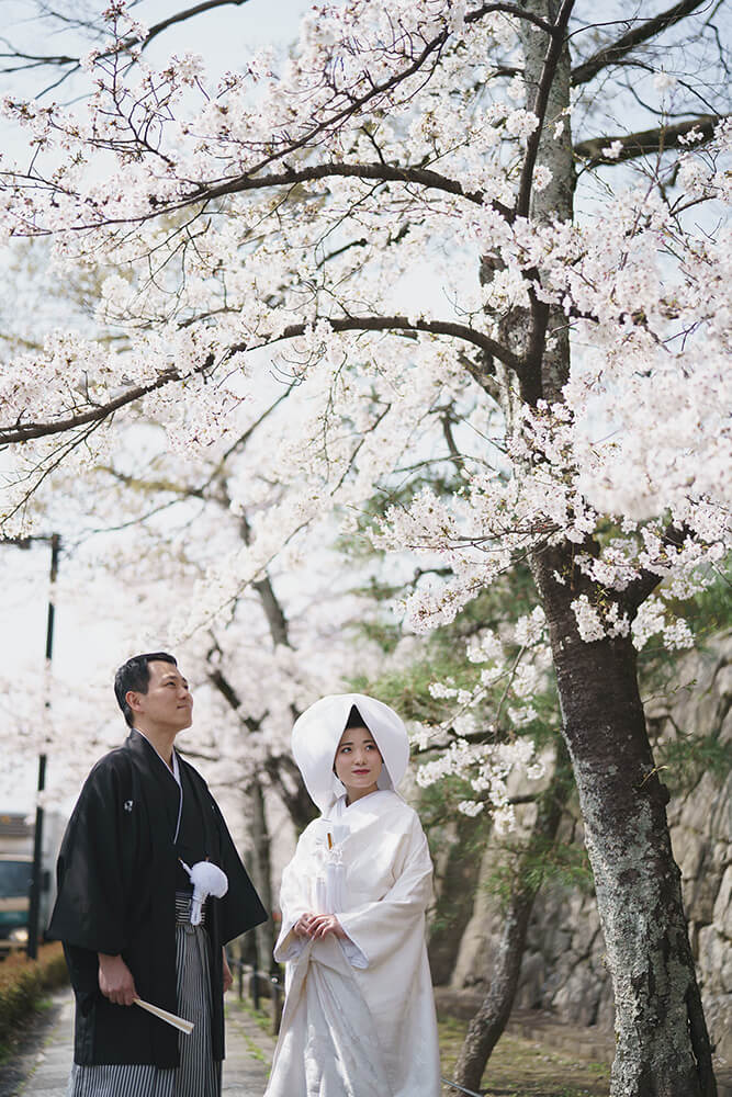 Kinkai-Komyoji Temple Kyoto