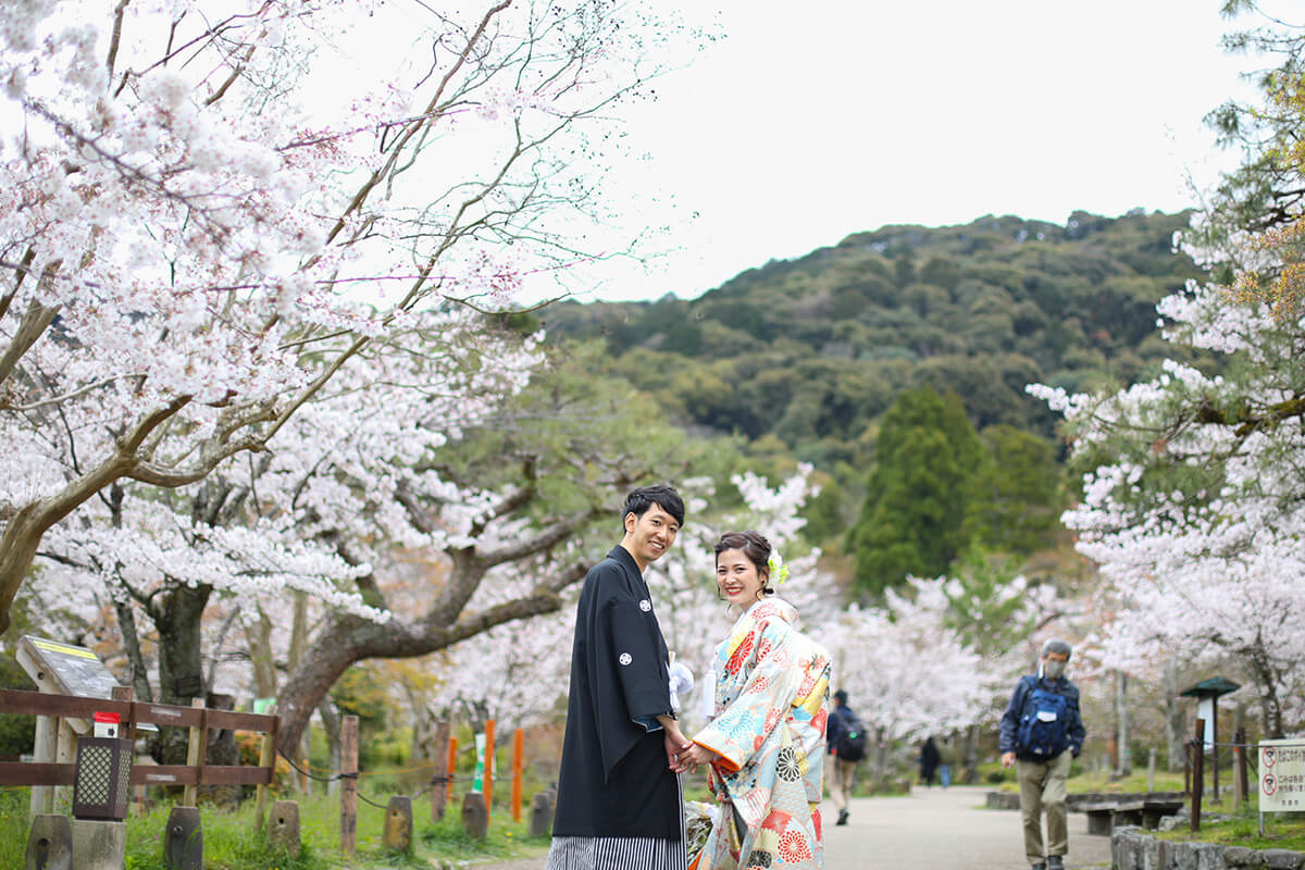 Maruyama Park Kyoto