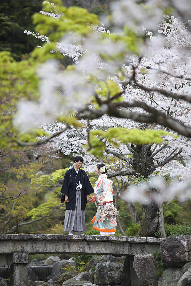 Maruyama Park Kyoto