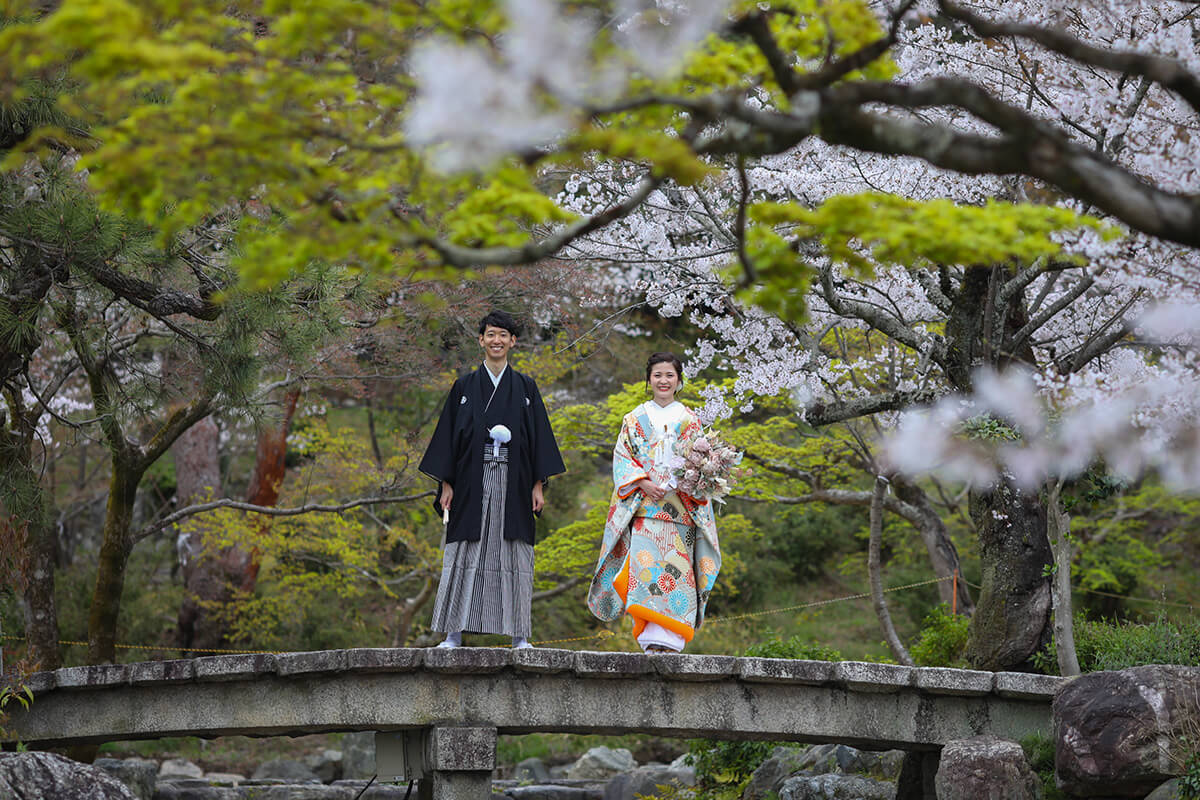 Maruyama Park Kyoto