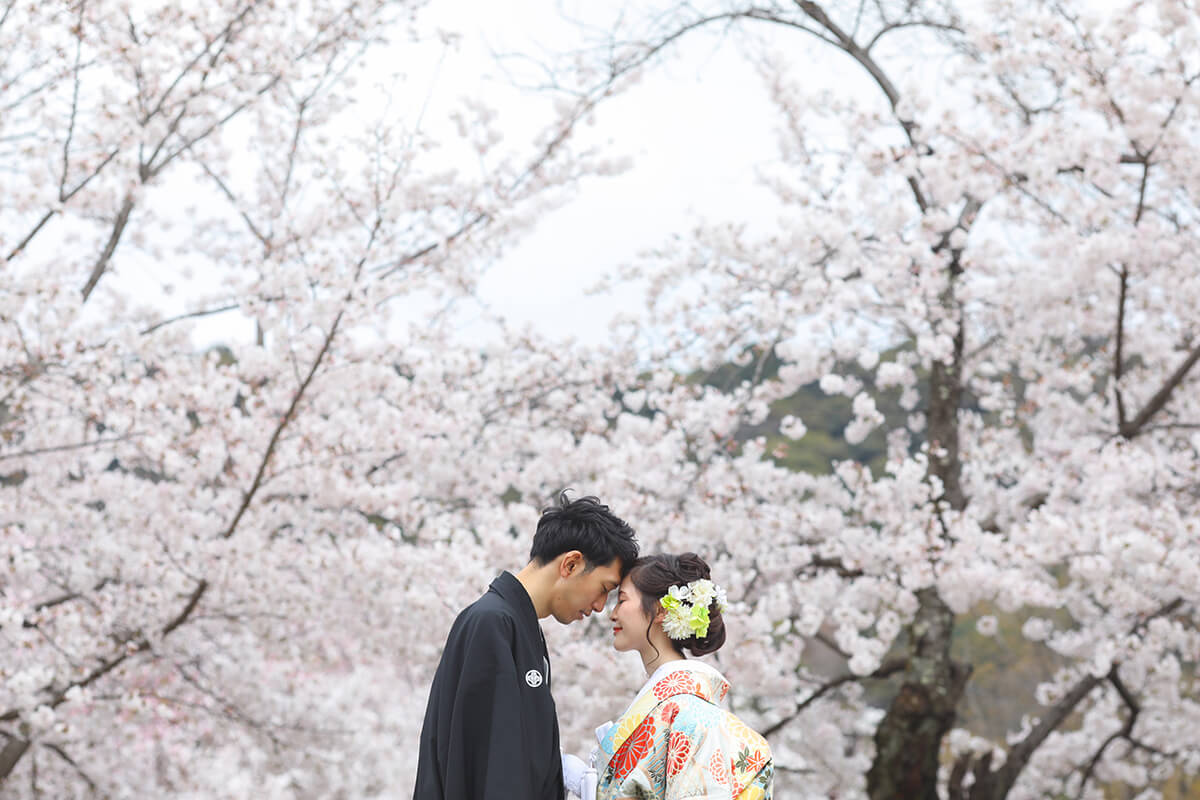 Maruyama Park Kyoto