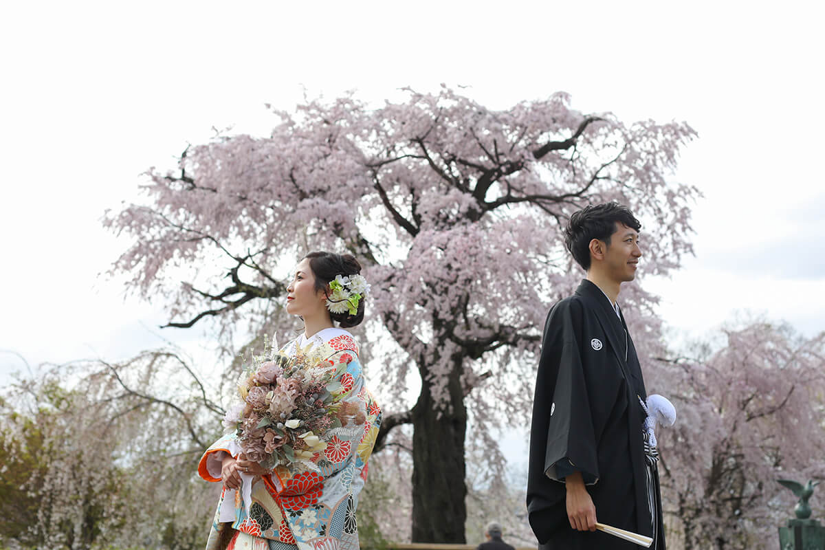 Maruyama Park Kyoto