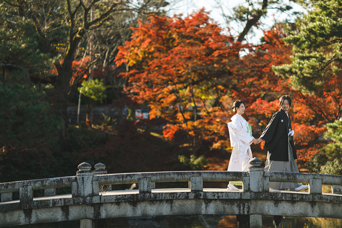 Maruyama Park Kyoto