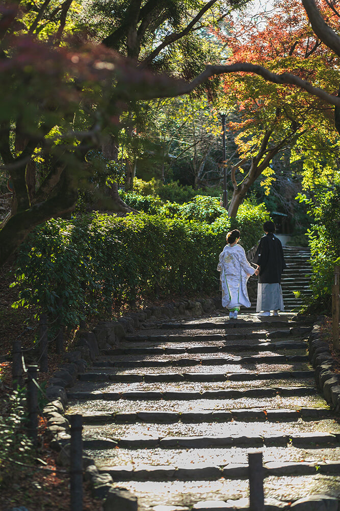 Maruyama Park Kyoto