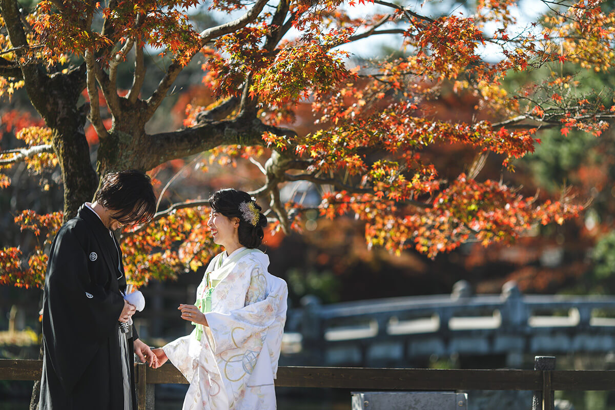 Maruyama Park Kyoto