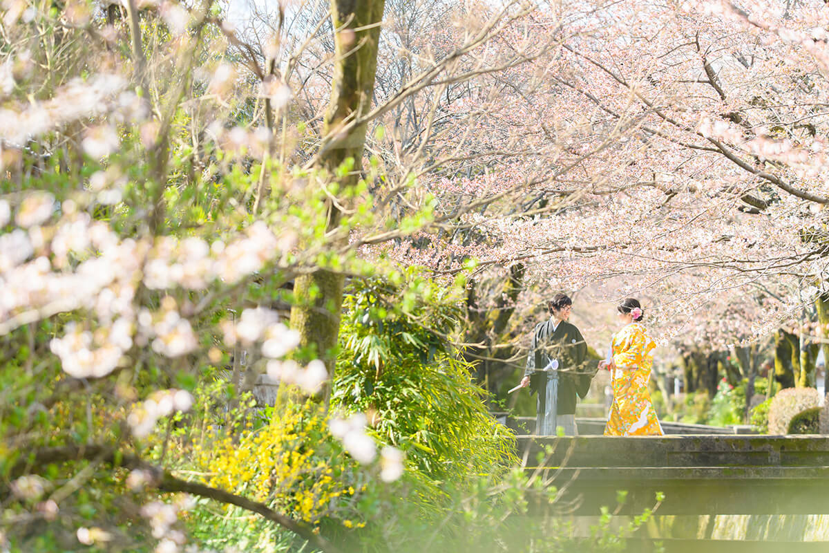 Philosopher’s Walk Kyoto