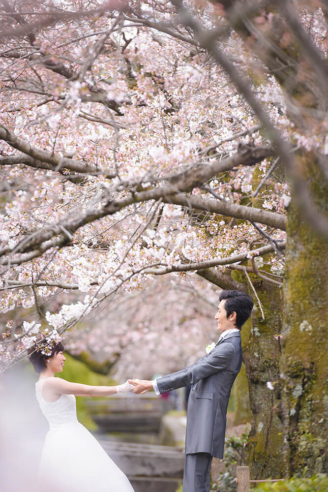 Philosopher’s Walk Kyoto