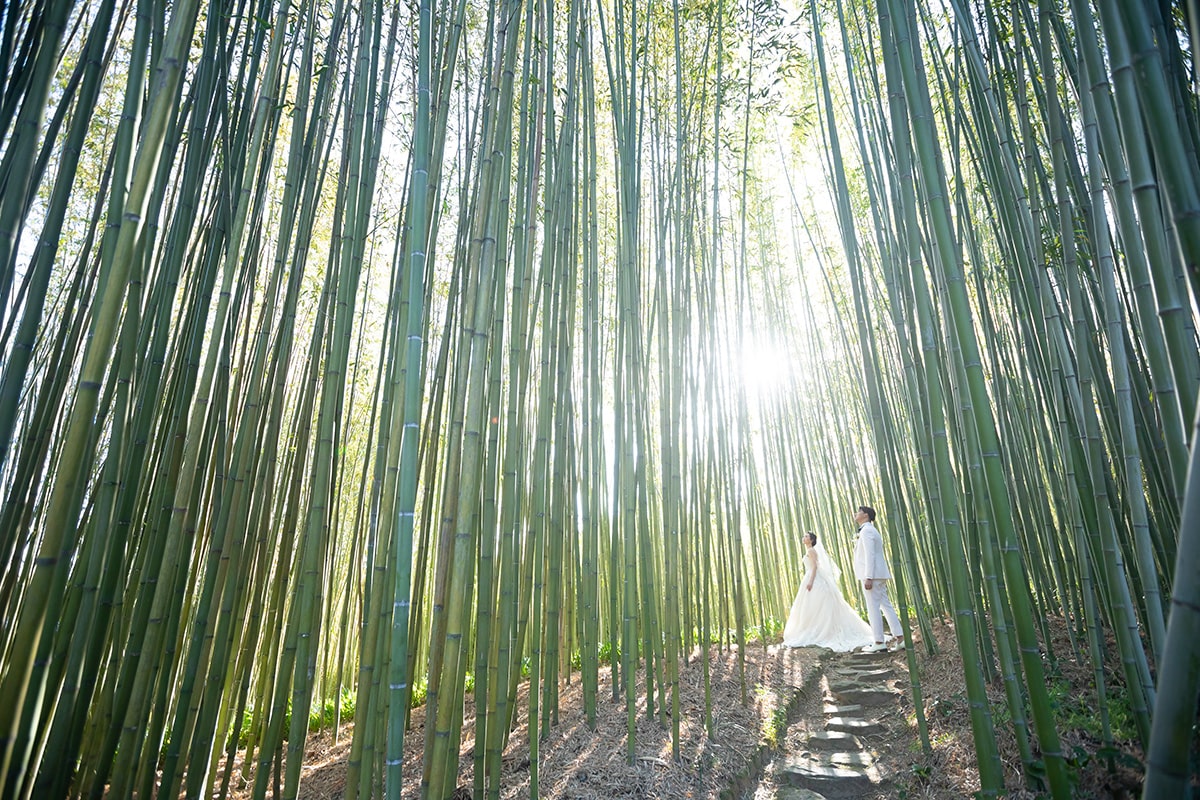 Tikurin Park Kyoto