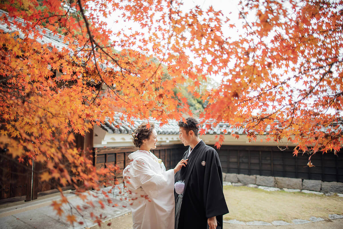 Matsuyama Castle Ninomaru Historical Site Garden/Location[Matsuyama/Japan]