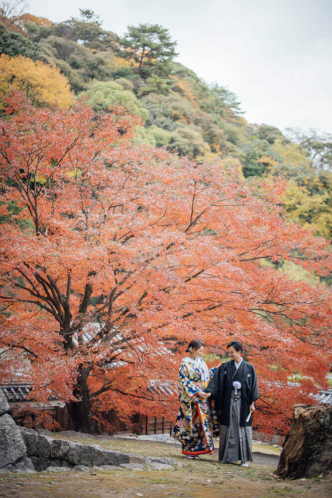 Matsuyama Castle Ninomaru Historical Site Garden/Location[Matsuyama/Japan]