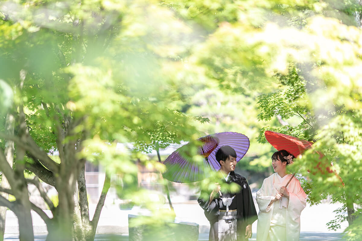 Ninomaru Historical Site Garden/location[Matsuyama/Japan]