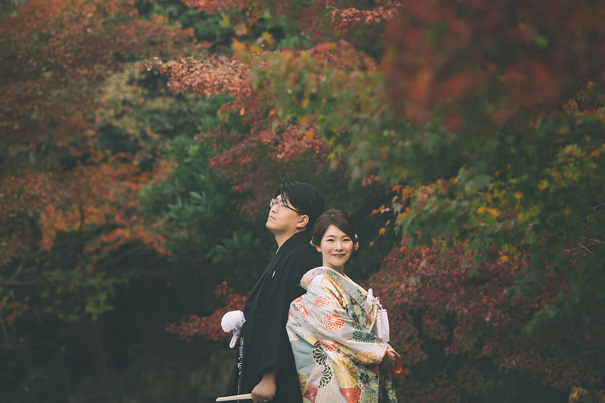 Ninomaru Historical Site Garden/location[Matsuyama/Japan]