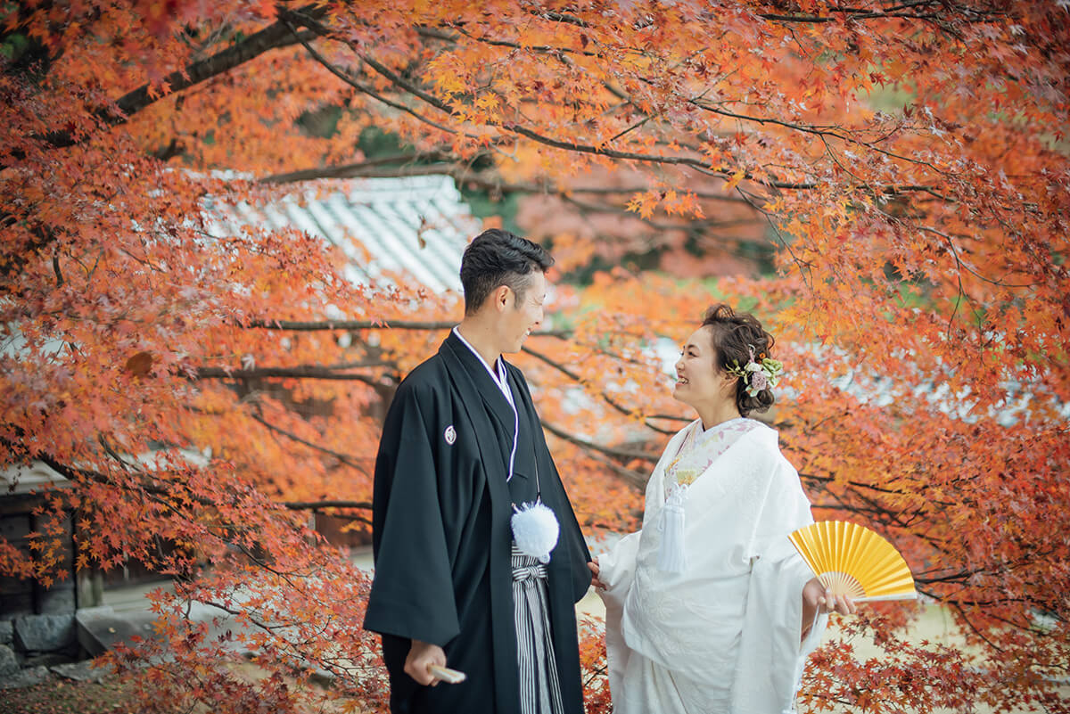 Ninomaru Historical Site Garden/location[Matsuyama/Japan]