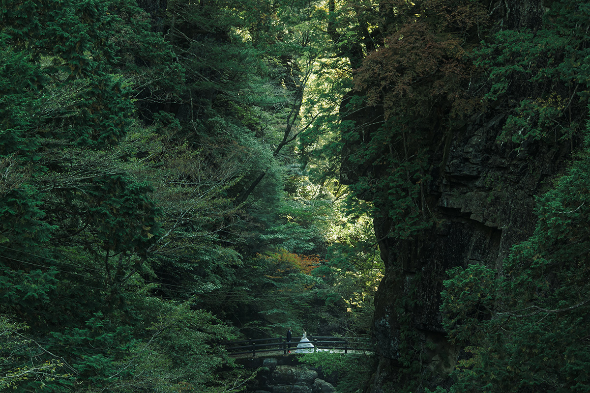 Omogokei/location[Matsuyama/Japan]