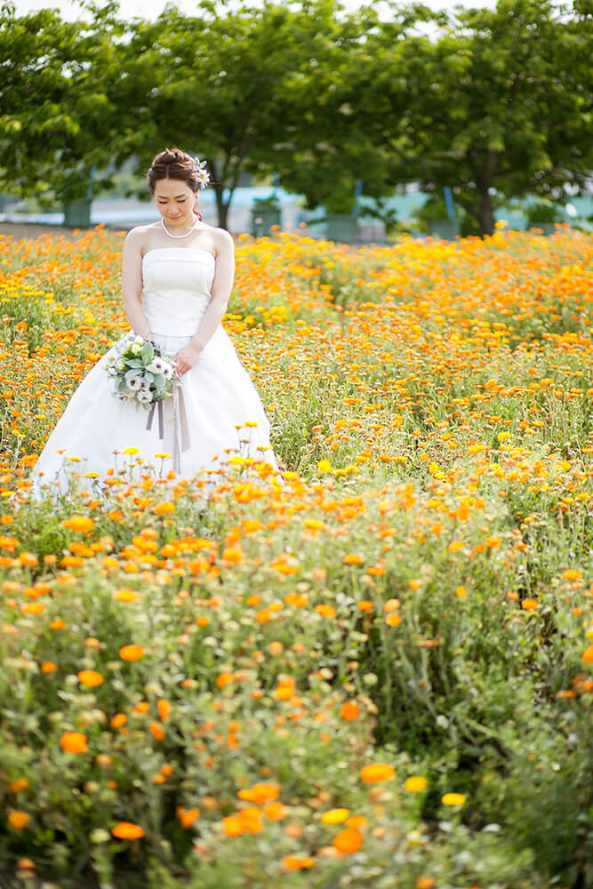 Flower Park Nagoya