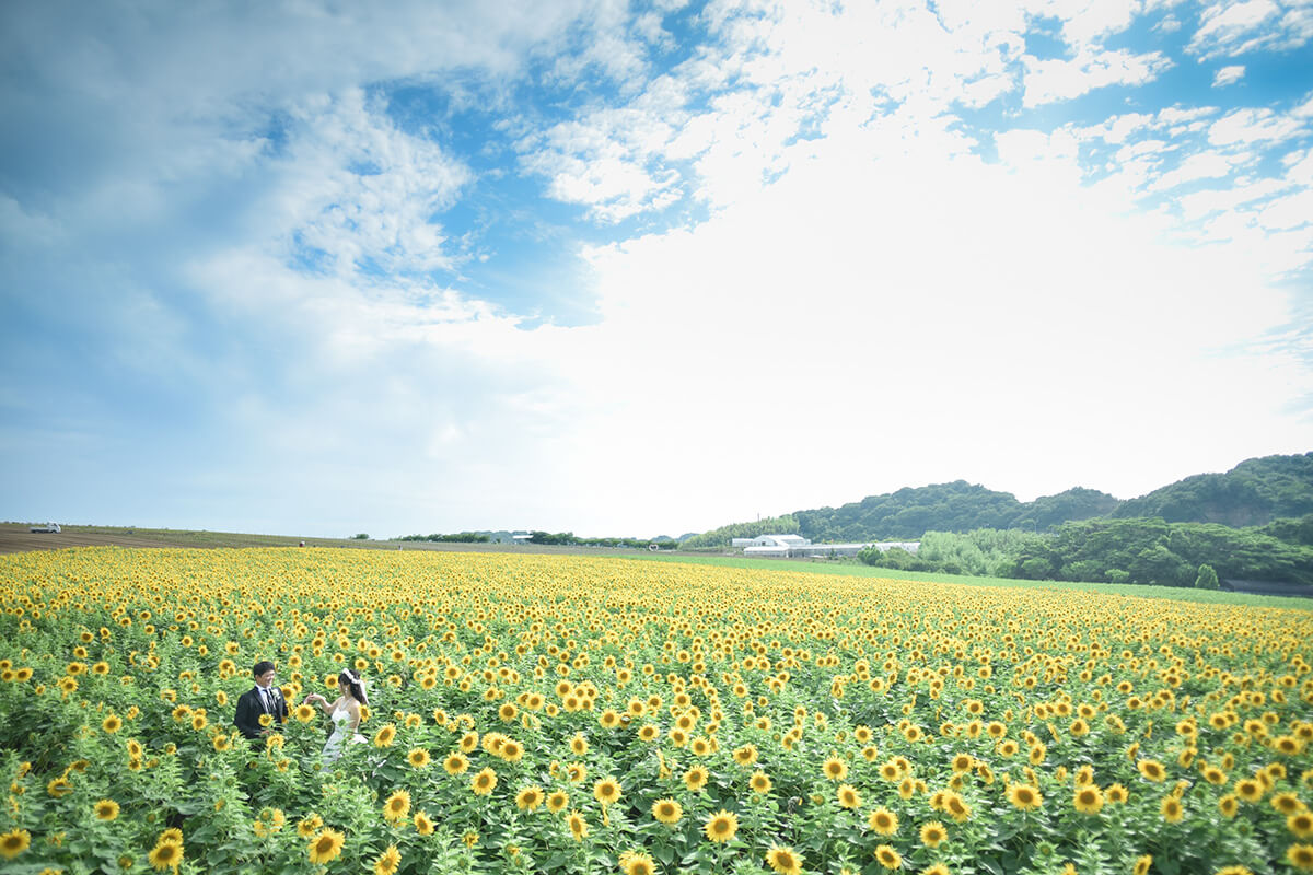 Flower Park Nagoya