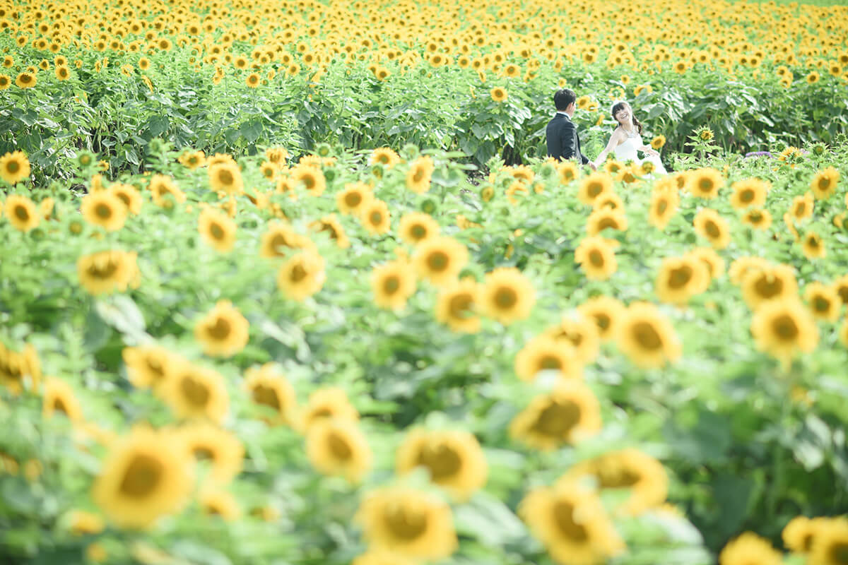 Flower Park Nagoya