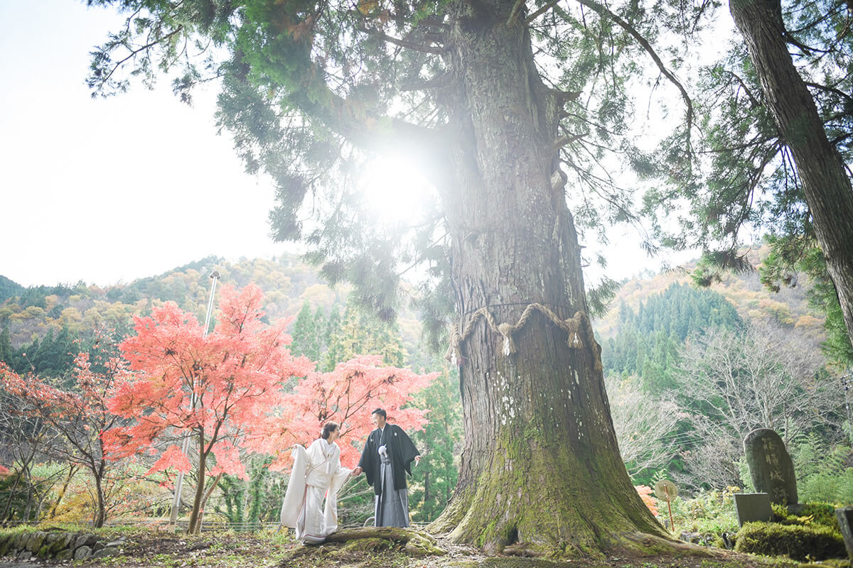 Kokin Denju no Sato