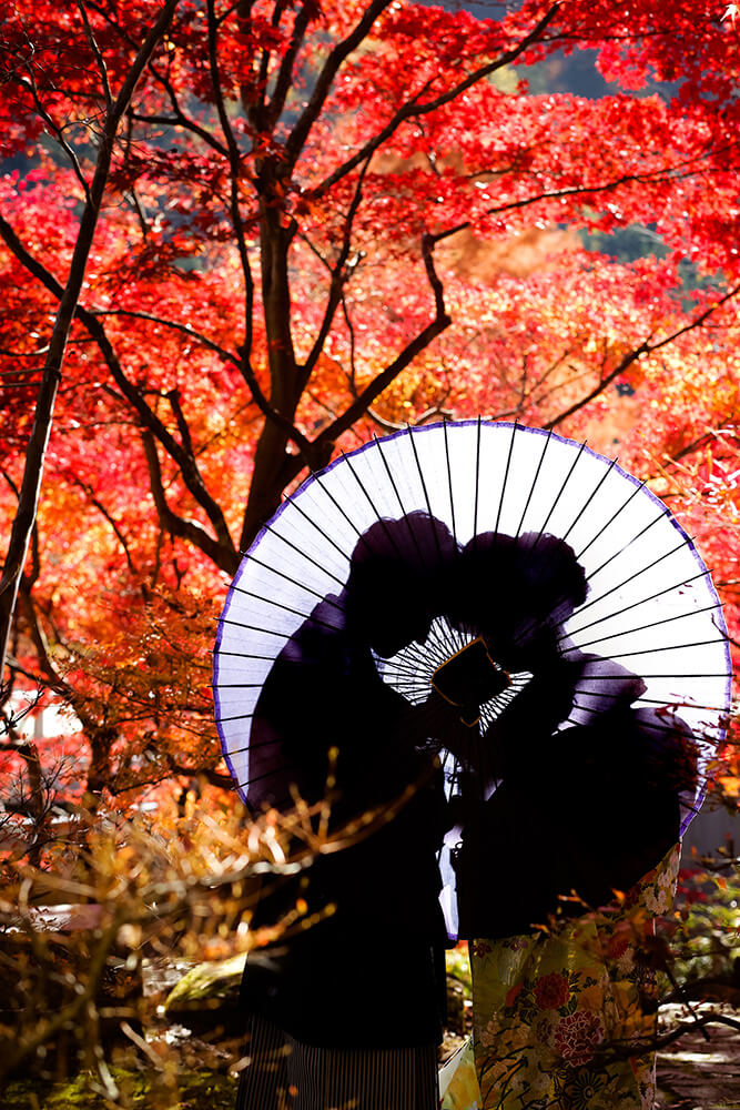 Kokin Denju no Sato Nagoya