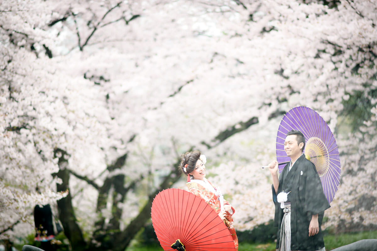 Meijyo Park