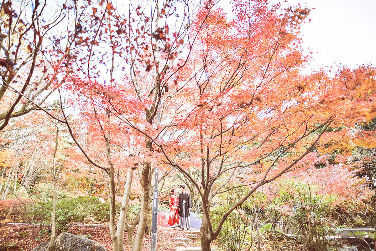 Shiratori Garden Nagoya