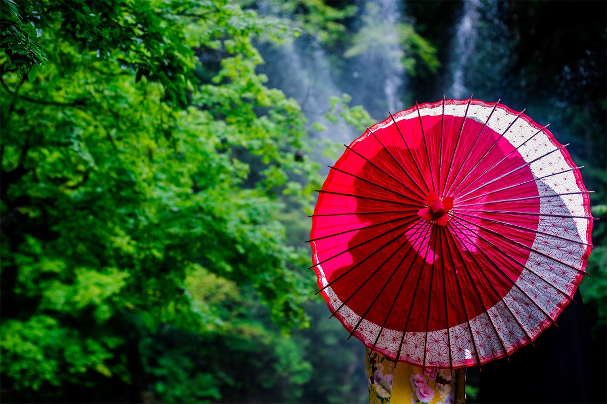 Kamoyama Park Niigata