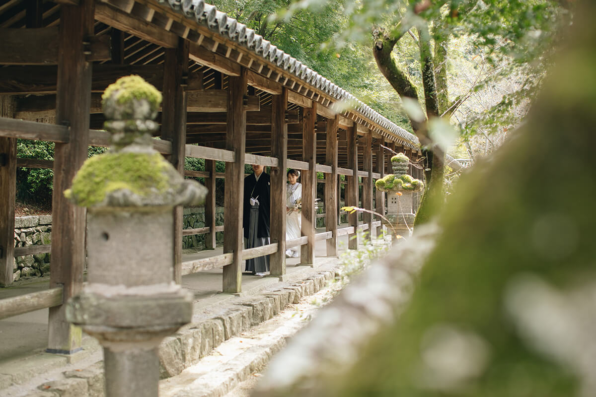 Kibitsu Shrine[Okayama/Japan]