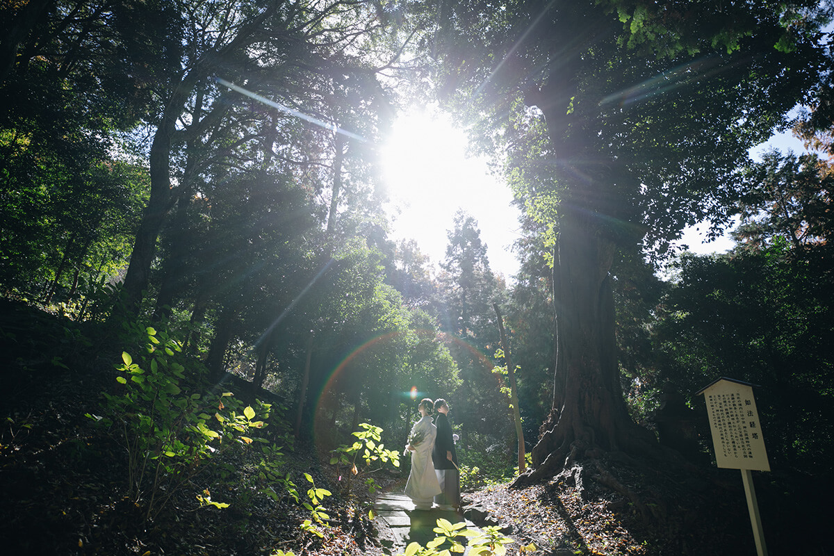 Kibitsu Shrine[Okayama/Japan]