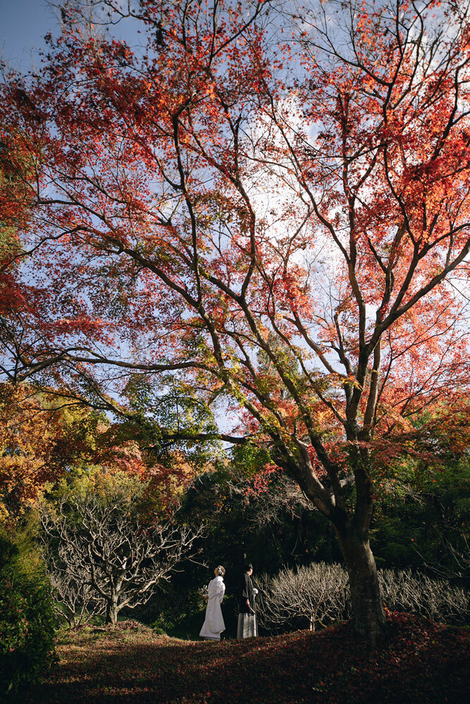 Kibitsu Shrine[Okayama/Japan]