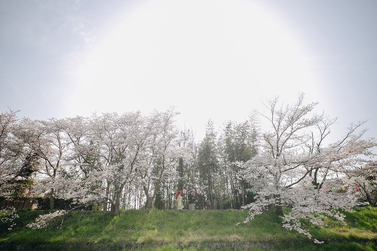 Omizuen/[Okayama/Japan]