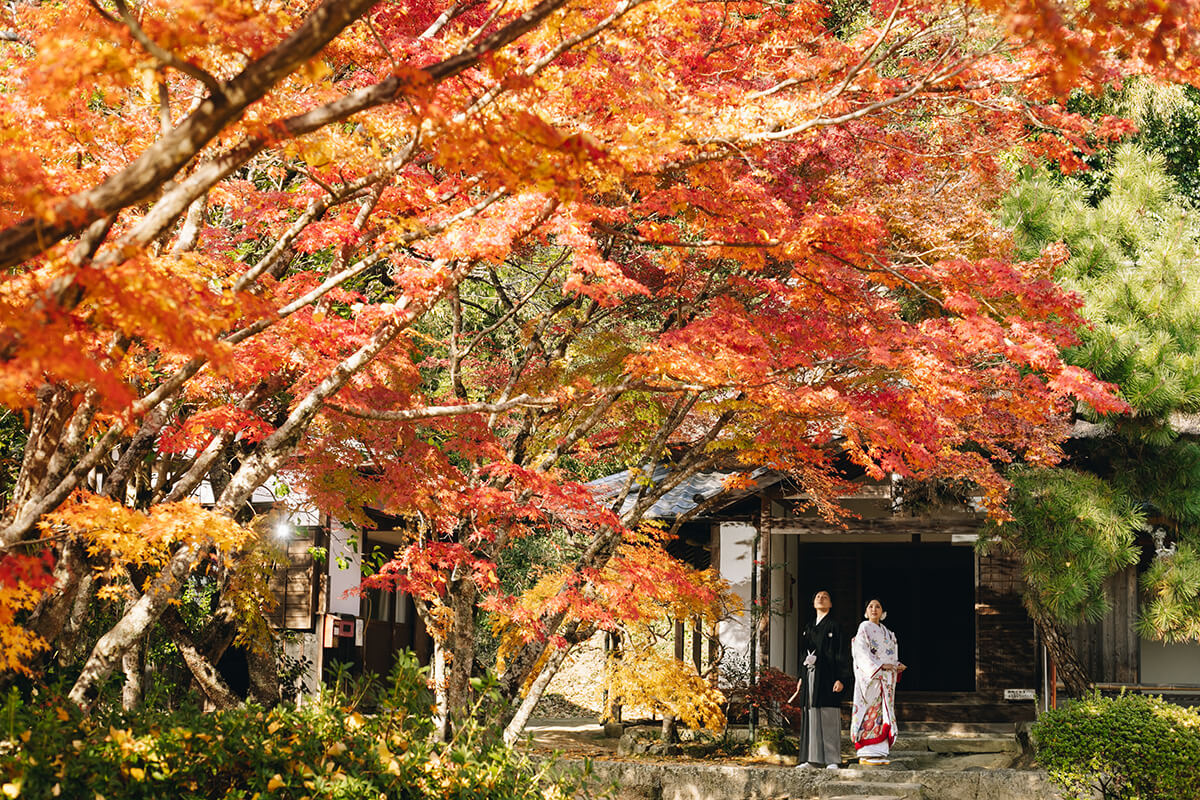 Kenzuien Garden/[Okayama/Japan]