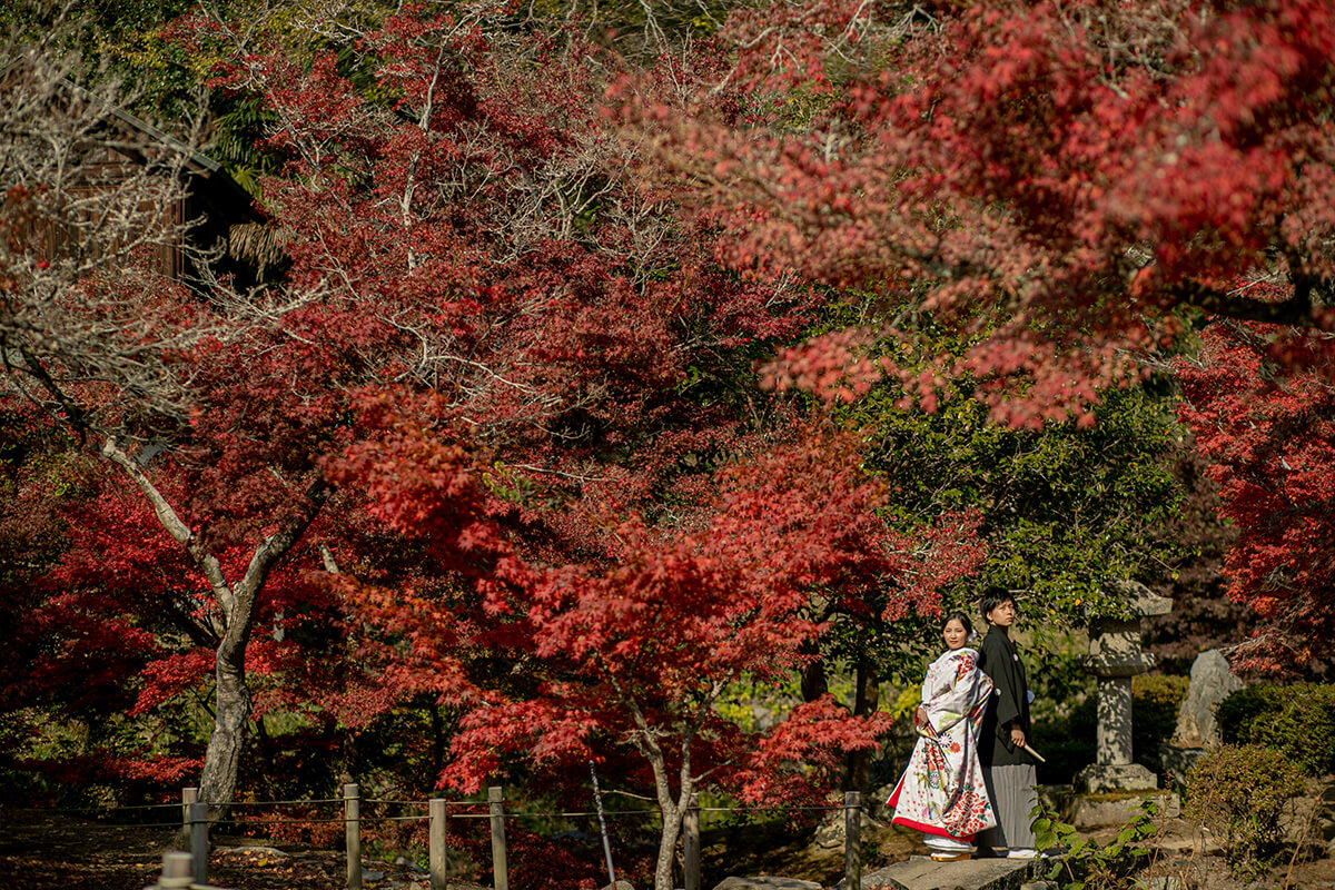 Kenzuien Garden/[Okayama/Japan]