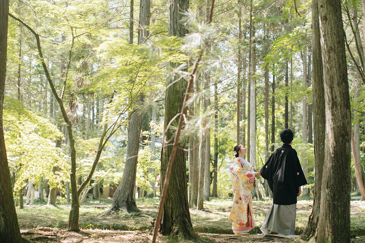 Sougenji/[Okayama/Japan]