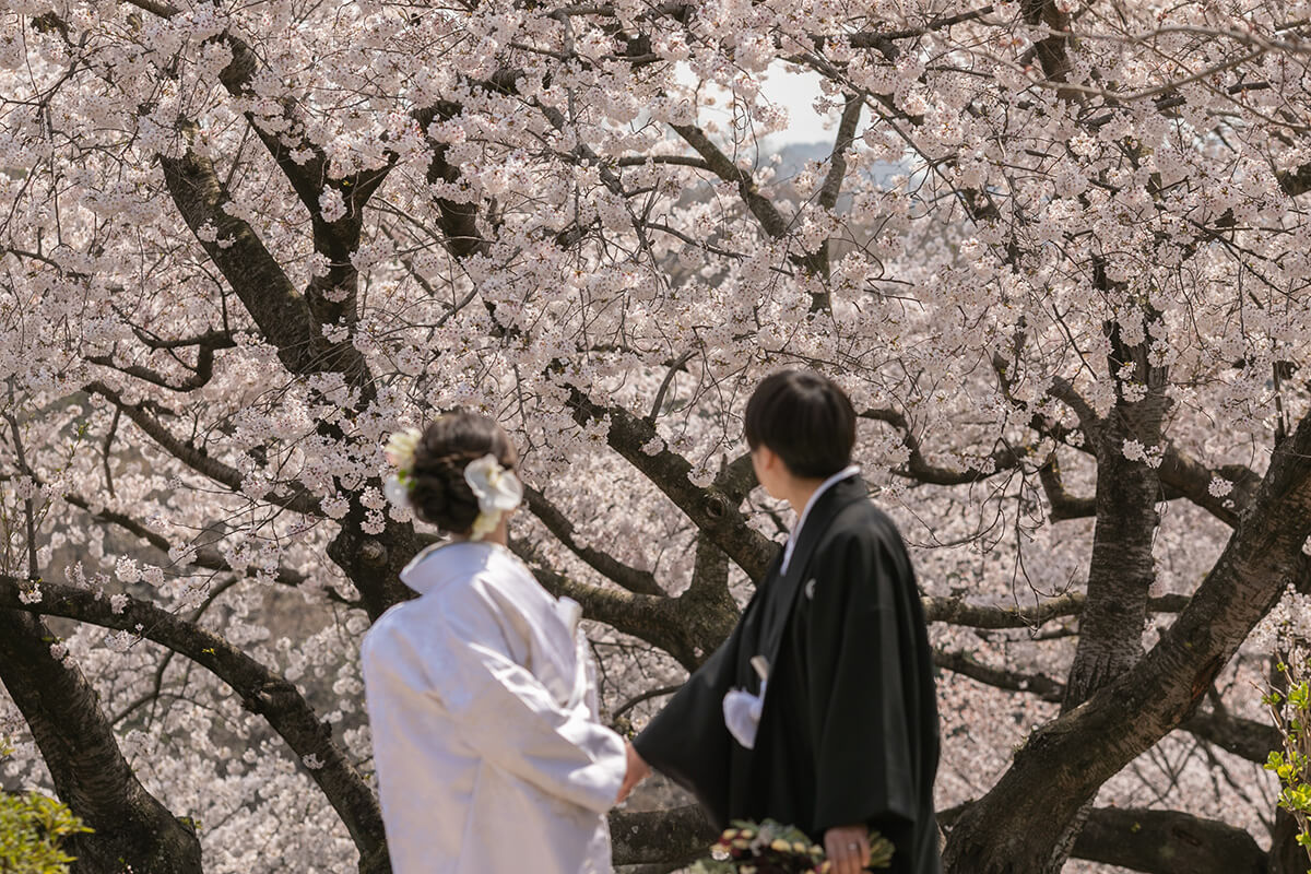 Tanematsuyama Koen/[Okayama/Japan]