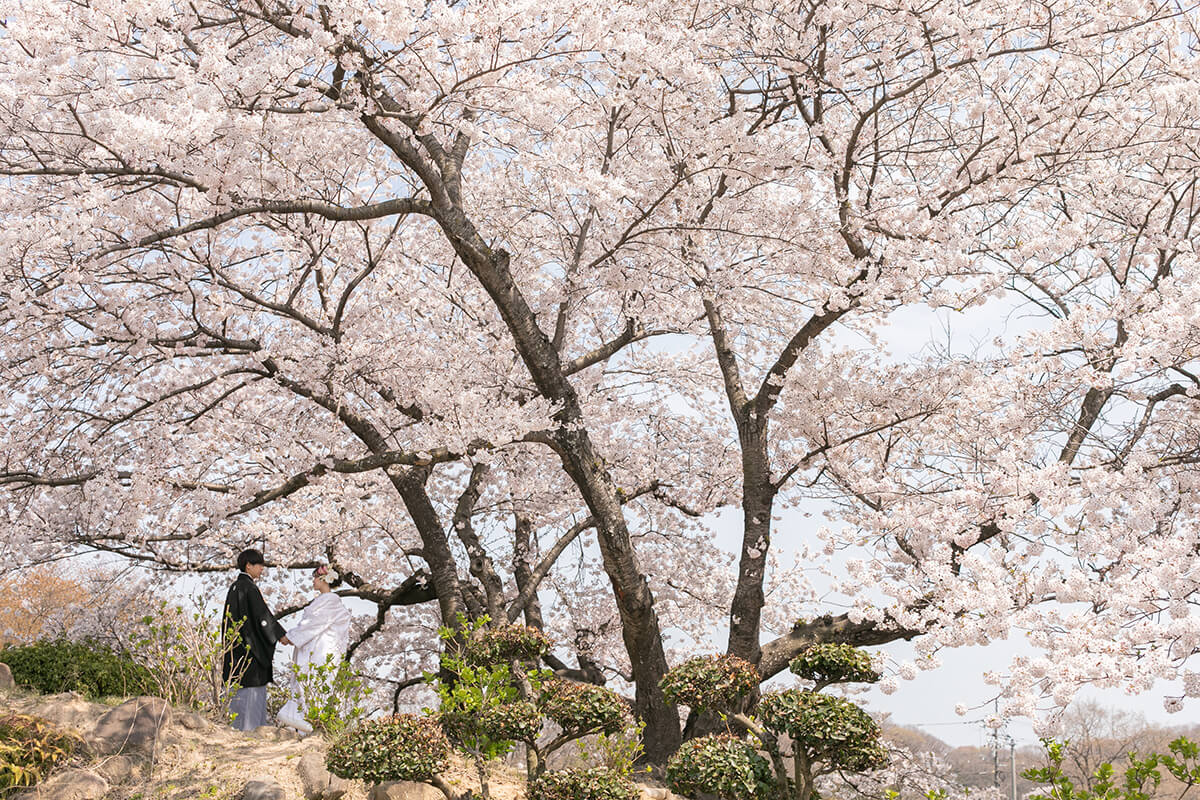 Tanematsuyama Koen/[Okayama/Japan]