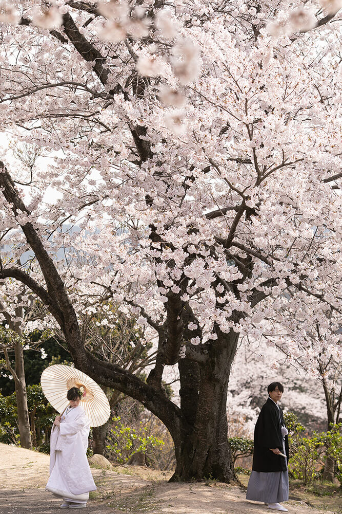 Tanematsuyama Koen/[Okayama/Japan]