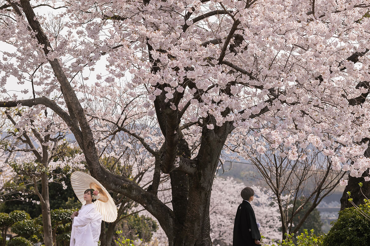 Tanematsuyama Koen/[Okayama/Japan]