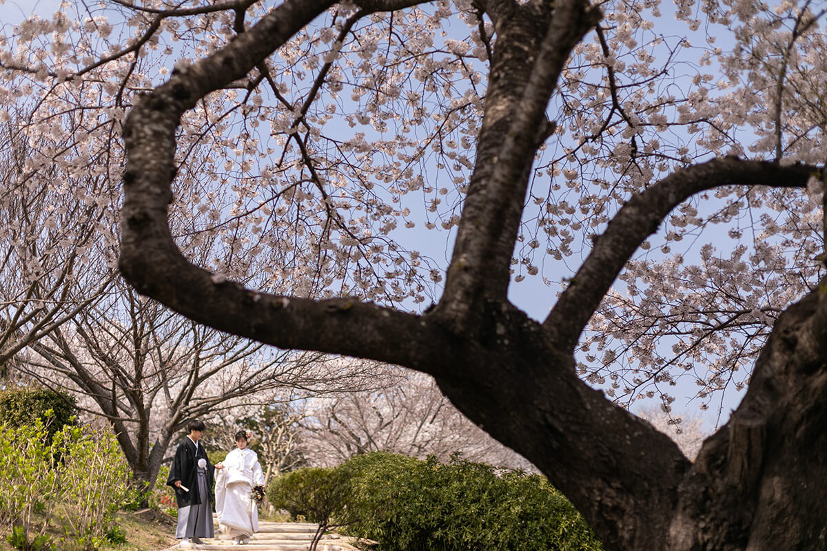 Tanematsuyama Koen/[Okayama/Japan]